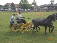 kb0711.jpg
